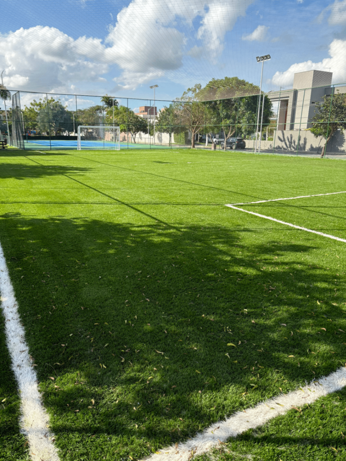 Campo de grama sintética